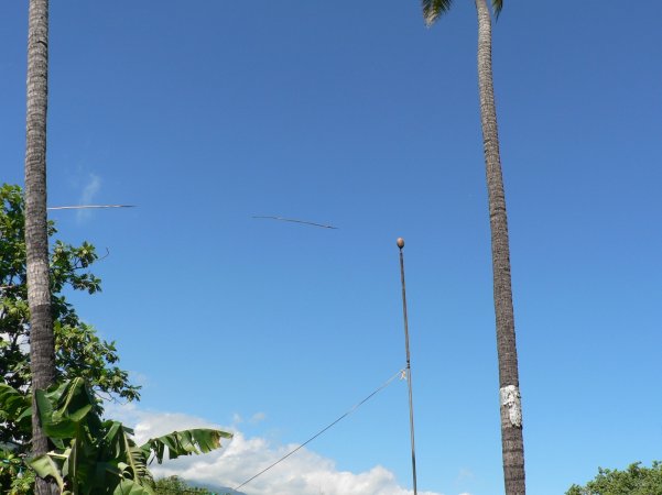 66- Toucher un Coco en haut d'un mat de 9,50m a 22 metres des lanceurs 